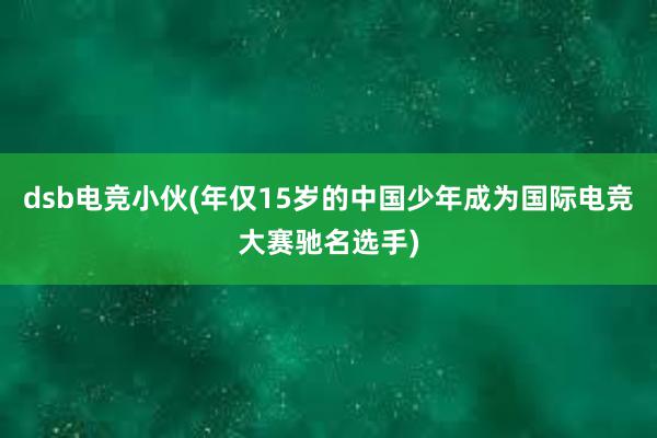 dsb电竞小伙(年仅15岁的中国少年成为国际电竞大赛驰名选手)