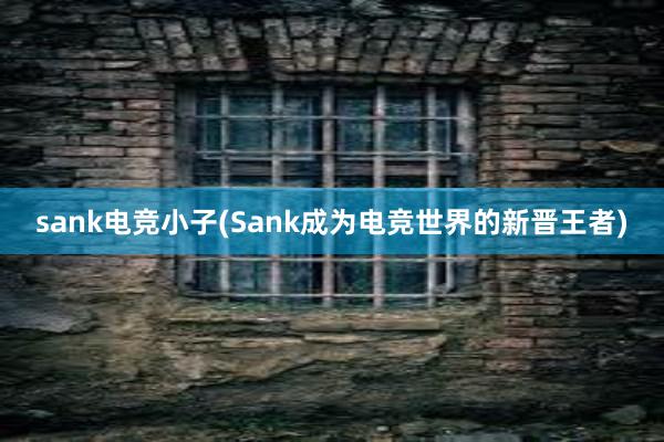 sank电竞小子(Sank成为电竞世界的新晋王者)