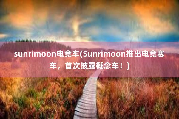 sunrimoon电竞车(Sunrimoon推出电竞赛车，首次披露概念车！)