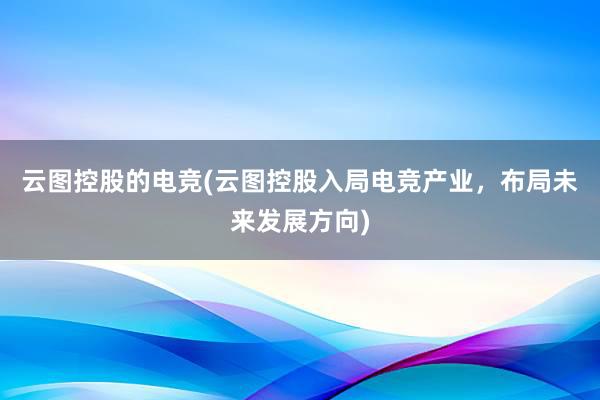 云图控股的电竞(云图控股入局电竞产业，布局未来发展方向)