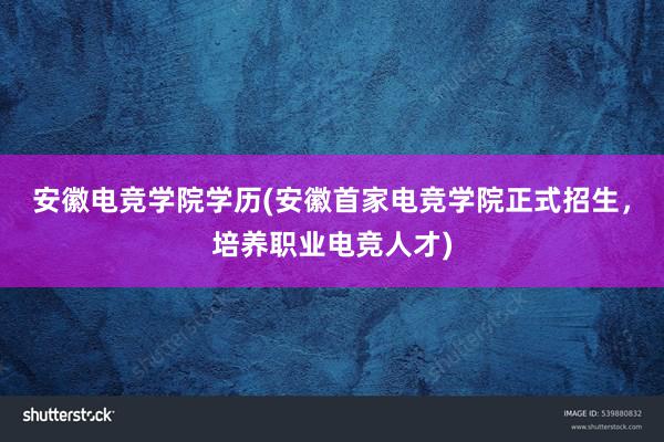 安徽电竞学院学历(安徽首家电竞学院正式招生，培养职业电竞人才)