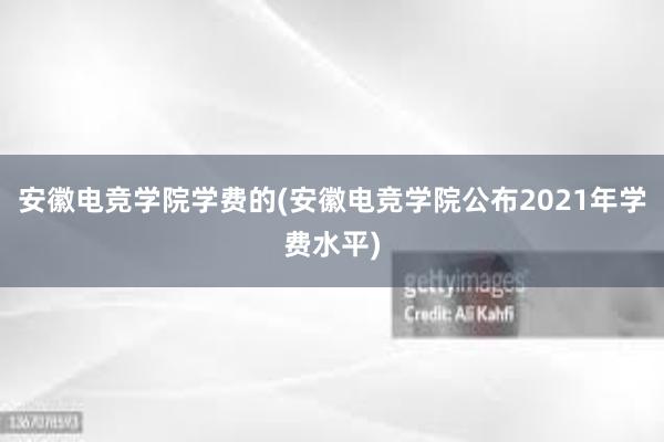 安徽电竞学院学费的(安徽电竞学院公布2021年学费水平)