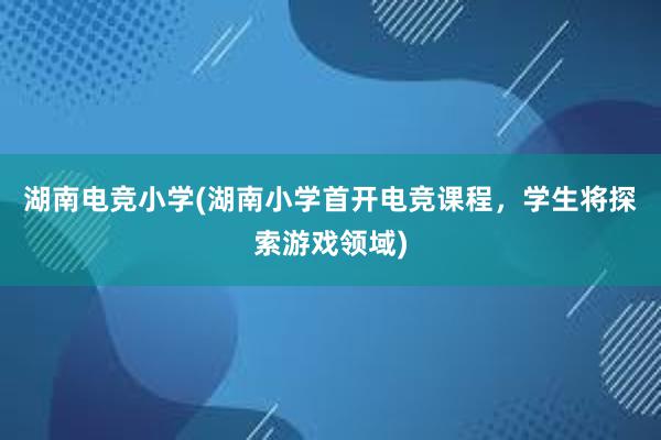 湖南电竞小学(湖南小学首开电竞课程，学生将探索游戏领域)