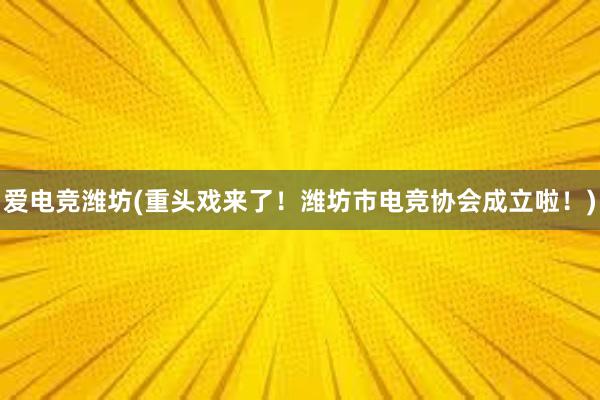 爱电竞潍坊(重头戏来了！潍坊市电竞协会成立啦！)