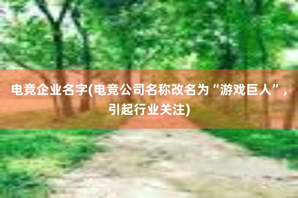 电竞企业名字(电竞公司名称改名为“游戏巨人”，引起行业关注)