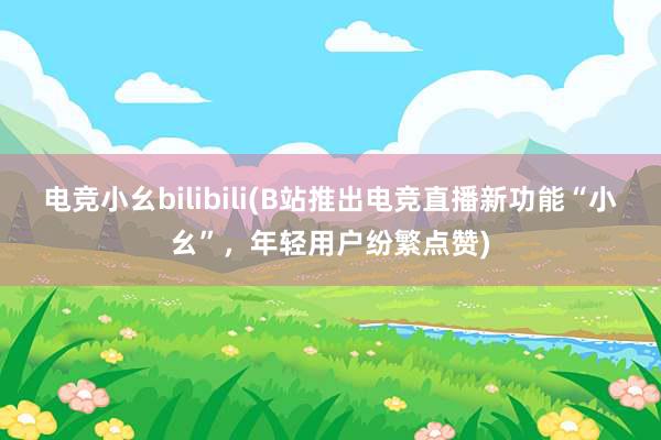 电竞小幺bilibili(B站推出电竞直播新功能“小幺”，年轻用户纷繁点赞)