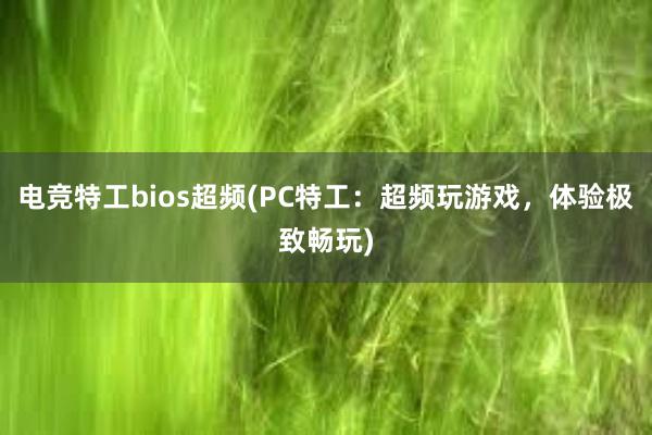 电竞特工bios超频(PC特工：超频玩游戏，体验极致畅玩)