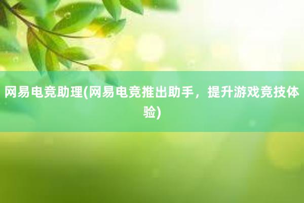 网易电竞助理(网易电竞推出助手，提升游戏竞技体验)