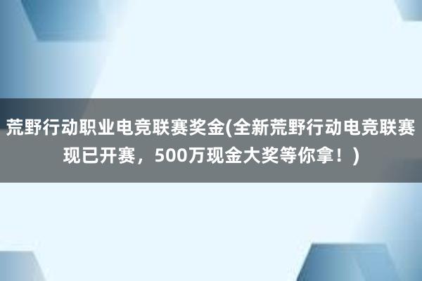 荒野行动职业电竞联赛奖金(全新荒野行动电竞联赛现已开赛，500万现金大奖等你拿！)