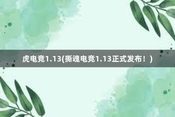 虎电竞1.13(撕魂电竞1.13正式发布！)