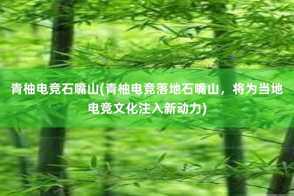 青柚电竞石嘴山(青柚电竞落地石嘴山，将为当地电竞文化注入新动力)