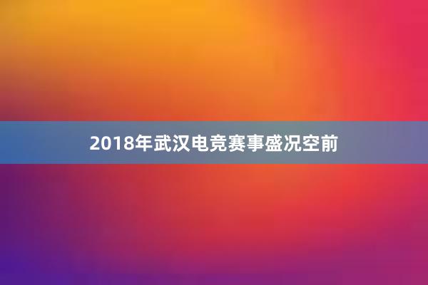 2018年武汉电竞赛事盛况空前