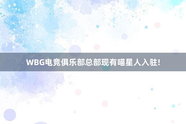 WBG电竞俱乐部总部现有喵星人入驻!