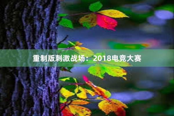 重制版刺激战场：2018电竞大赛