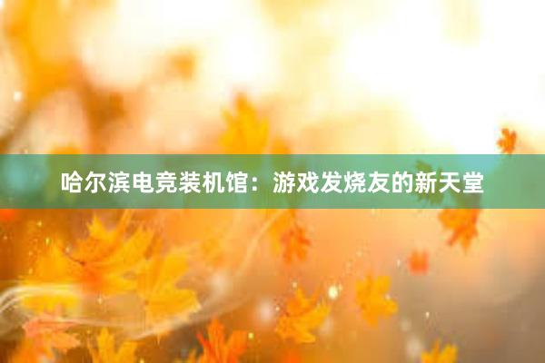 哈尔滨电竞装机馆：游戏发烧友的新天堂