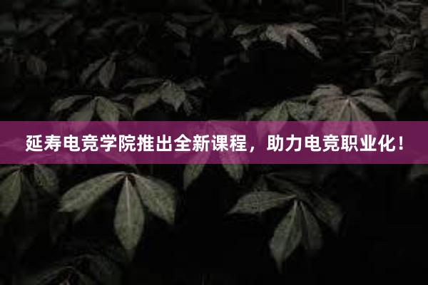 延寿电竞学院推出全新课程，助力电竞职业化！