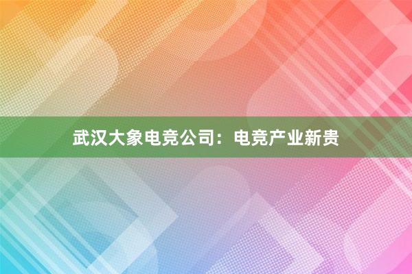 武汉大象电竞公司：电竞产业新贵