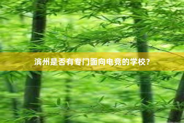 滨州是否有专门面向电竞的学校？