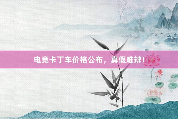 电竞卡丁车价格公布，真假难辨！