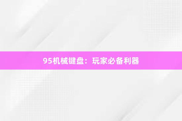 95机械键盘：玩家必备利器