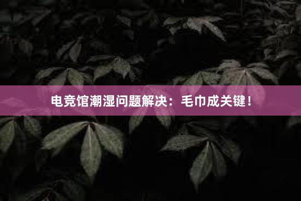 电竞馆潮湿问题解决：毛巾成关键！