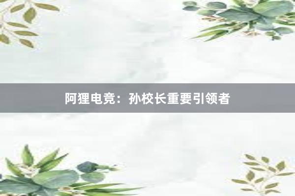 阿狸电竞：孙校长重要引领者